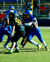 LINDEN #48