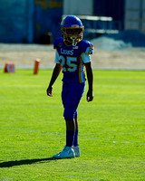 LINDEN #25