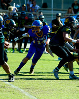 LINDEN #14
