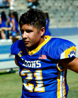 LINDEN #21